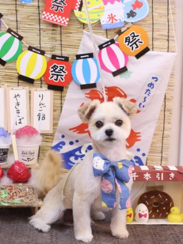 20240723だんごくん